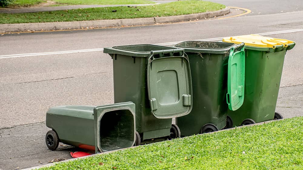 Keep Your Wheelie Bin Fresh Top Cleaning Tips For Your Bins