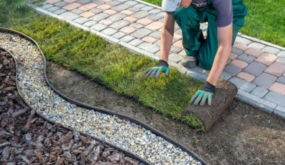 Landscaper rolling turf showing how to dispose of landscape waste